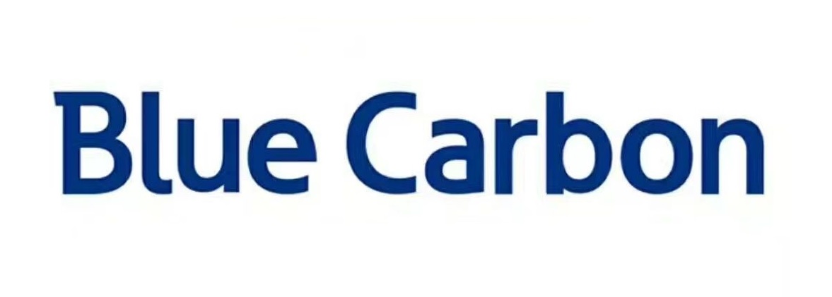 Blue Carbon logo